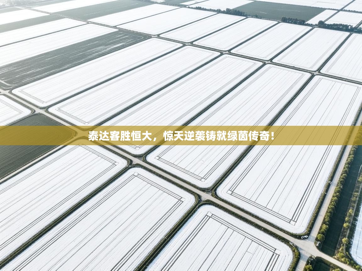 泰达客胜恒大，惊天逆袭铸就绿茵传奇！  第2张